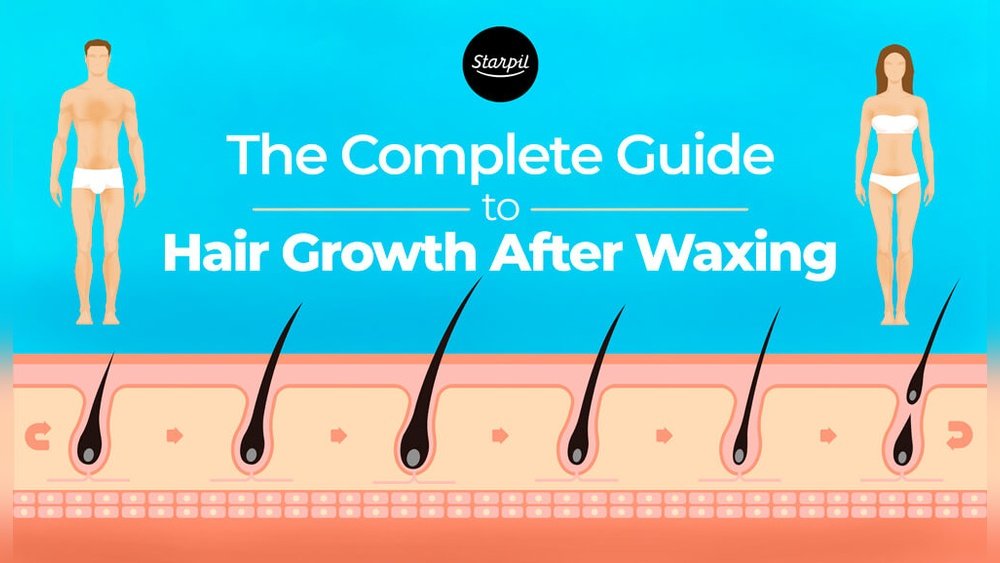 Does Waxing Make Hair Thinner Does Waxing Make Hair Thinner