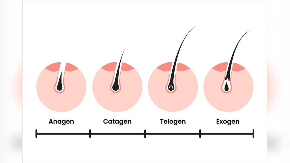 Does Waxing Reduce Hair Regrowth Does Waxing Reduce Hair Regrowth