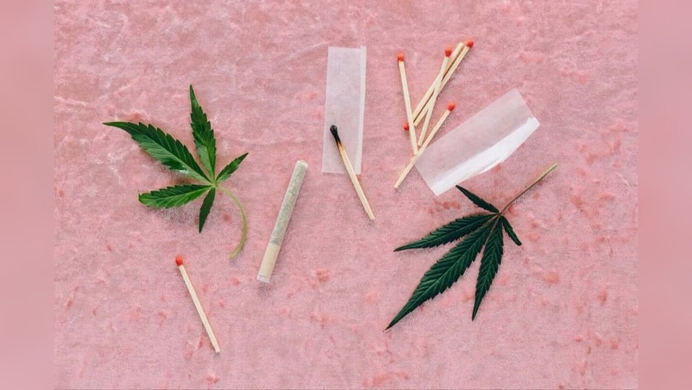 Does Weed Make You Lose Your Hair Does Weed Make You Lose Your Hair