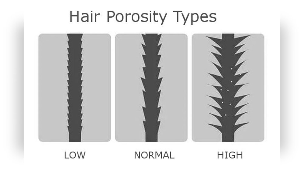 How Long Does It Take for Hair to Dry How Long Does It Take for Hair to Dry