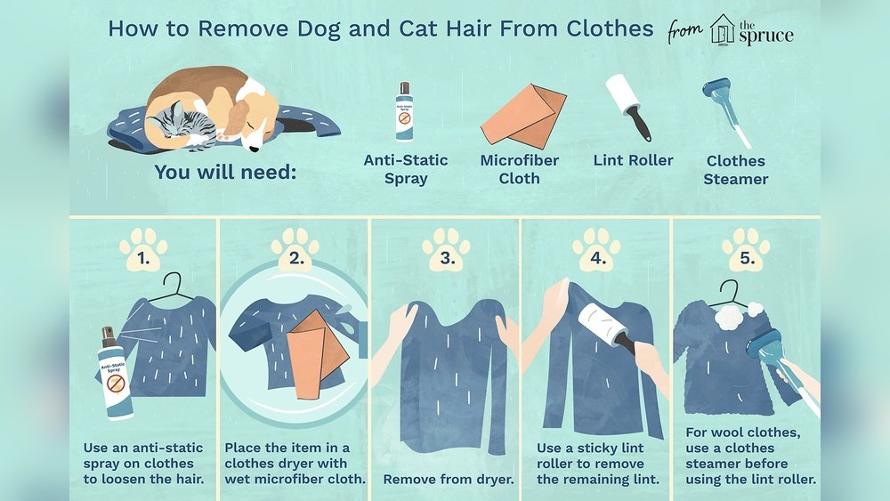 How to Get Cat Hair off Clothes How to Get Cat Hair off Clothes