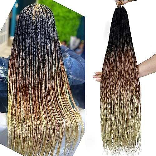 Ombre Blonde Crochet Box Braids Pre Looped Chicmoi 24 Inch