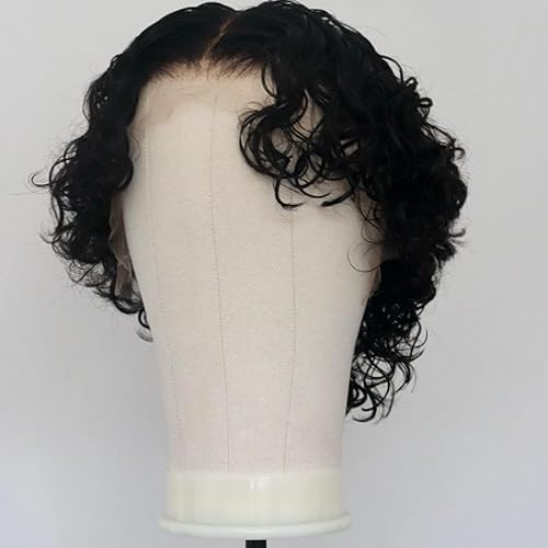 Mens 13X6 Lace Front Human Hair Wigs Loose Curly Short