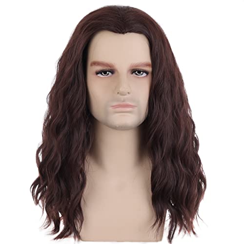 PATTNIUM Mens Brown Wig Long Wavy Brown Synthetic Hair