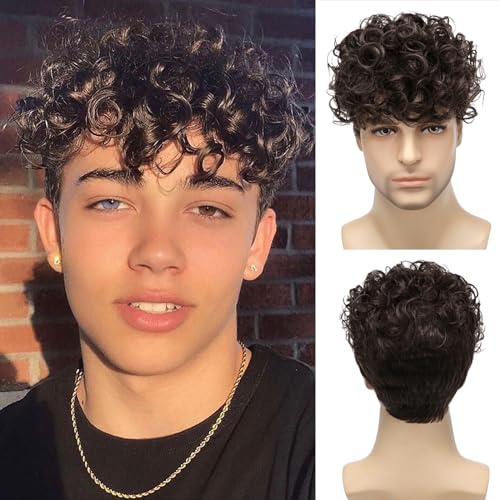 Daiaces Mens Curly Wigs Dack Brown Short Synthetic Wig